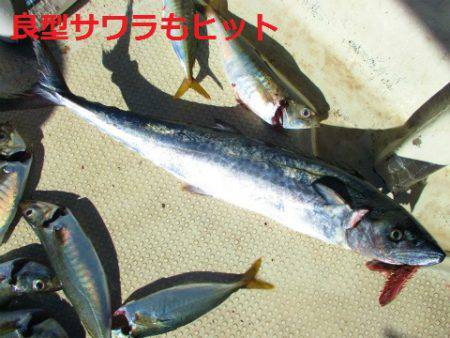 フィッシングガイド とちぎ 釣果