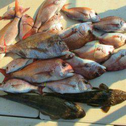 フィッシングガイド とちぎ 釣果