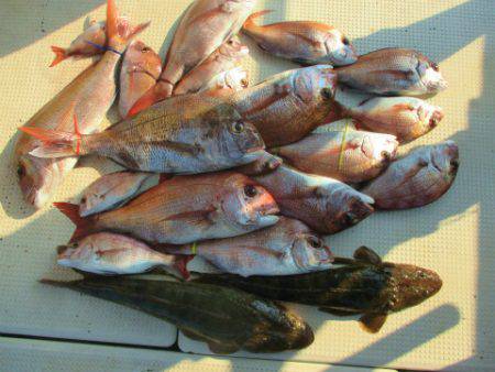 フィッシングガイド とちぎ 釣果