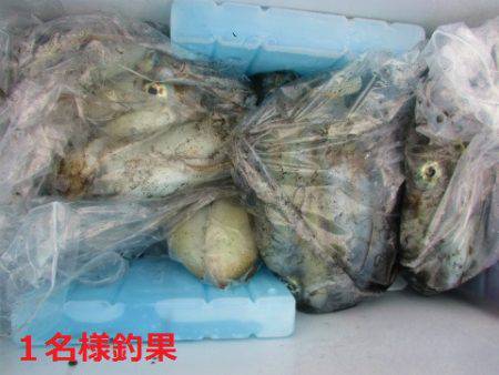 フィッシングガイド とちぎ 釣果