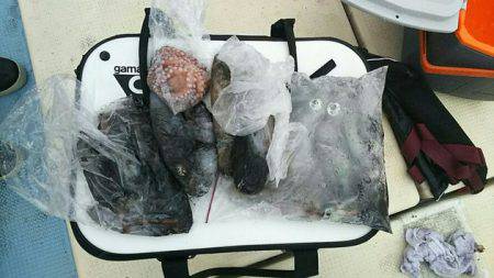 金剛丸 釣果