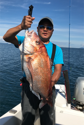 シャングリラ 釣果