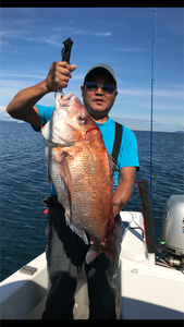 シャングリラ 釣果