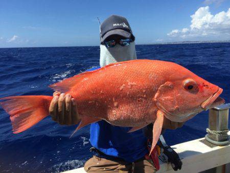 群星・むるぶし 釣果