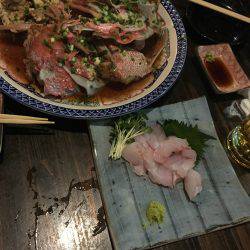 群星・むるぶし 釣果