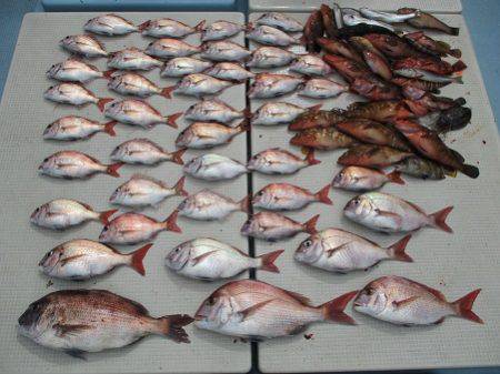 海人丸（うみんちゅまる） 釣果