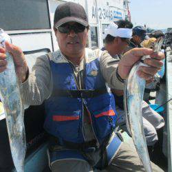 大進丸(愛知) 釣果