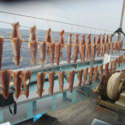 大進丸（愛知） 釣果