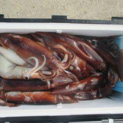 大進丸（愛知） 釣果