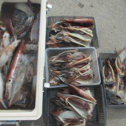 大進丸（愛知） 釣果