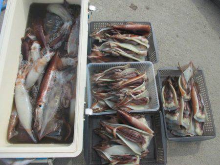 大進丸（愛知） 釣果