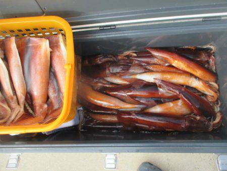 大進丸（愛知） 釣果