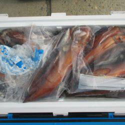 大進丸（愛知） 釣果