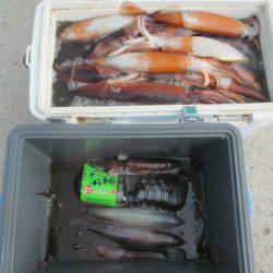 大進丸（愛知） 釣果