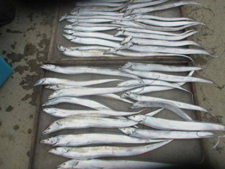 大進丸(愛知) 釣果