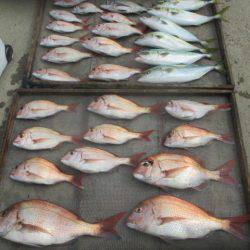 大進丸（愛知） 釣果