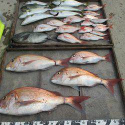 大進丸（愛知） 釣果