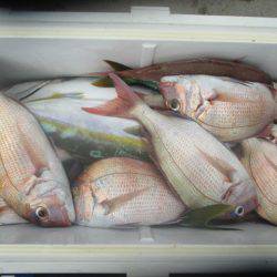 大進丸（愛知） 釣果