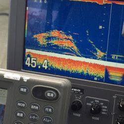 シーモンキー 釣果