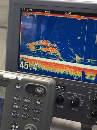 シーモンキー 釣果