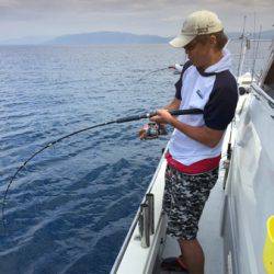 シーモンキー 釣果