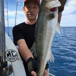 シーモンキー 釣果