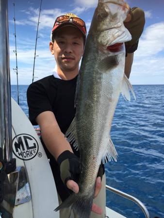 シーモンキー 釣果