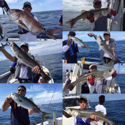 シーモンキー 釣果