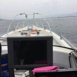 シーモンキー 釣果