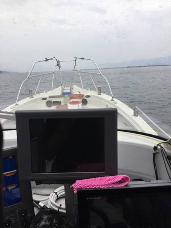 シーモンキー 釣果