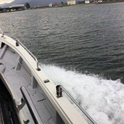 シーモンキー 釣果