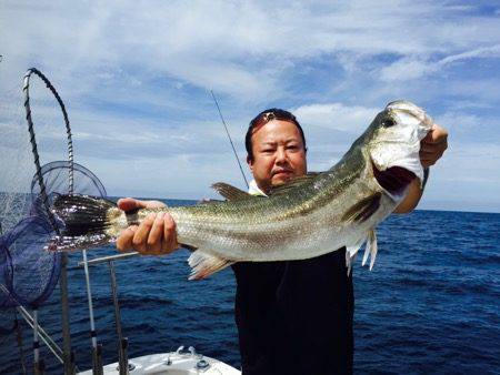シーモンキー 釣果