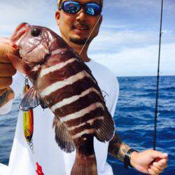 シーモンキー 釣果