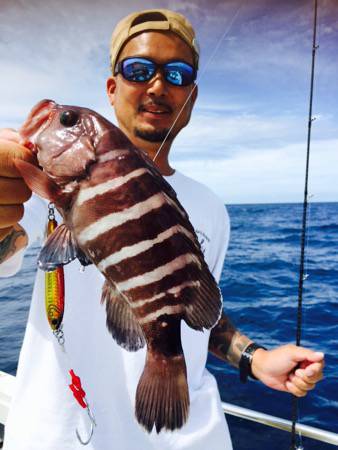 シーモンキー 釣果