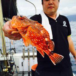 シーモンキー 釣果