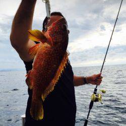 シーモンキー 釣果