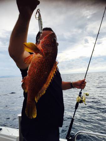 シーモンキー 釣果