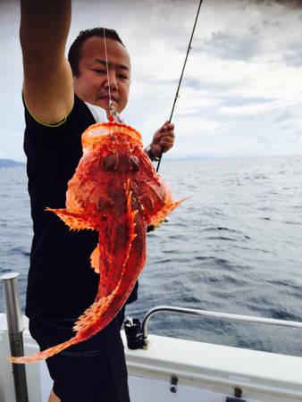 シーモンキー 釣果