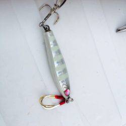 シーモンキー 釣果