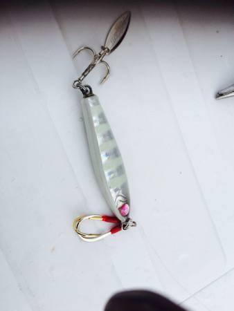 シーモンキー 釣果