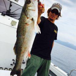 シーモンキー 釣果