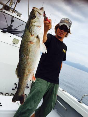 シーモンキー 釣果