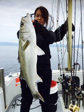 シーモンキー 釣果