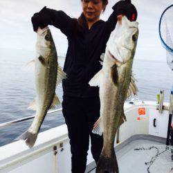 シーモンキー 釣果