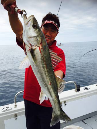 シーモンキー 釣果