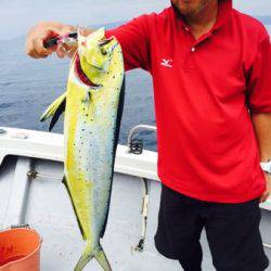 シーモンキー 釣果