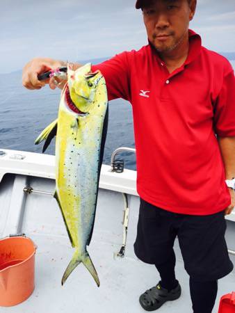 シーモンキー 釣果