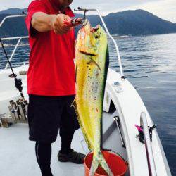 シーモンキー 釣果