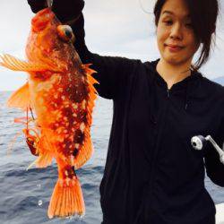 シーモンキー 釣果