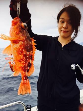 シーモンキー 釣果